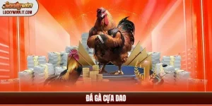 da-ga-cua-dao