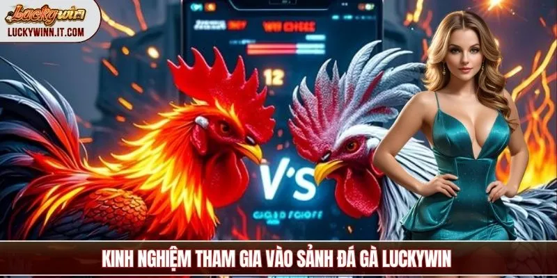 kinh-nghiem-da-ga-luckywin