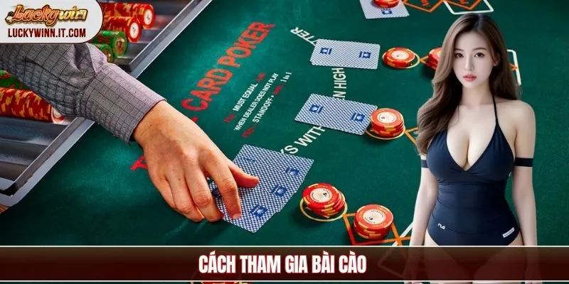 tham-gia-bai-cao